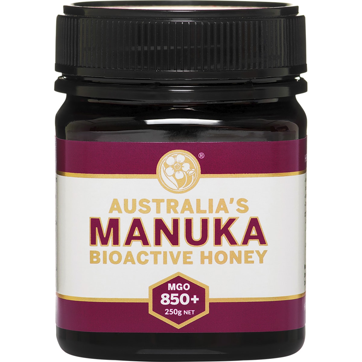 Bioactive Honey MGO850+ 250g